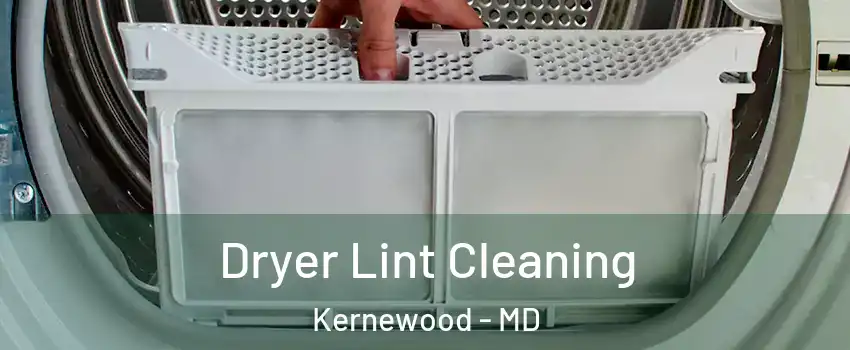 Dryer Lint Cleaning Kernewood - MD