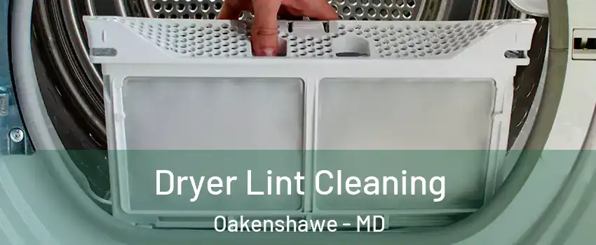 Dryer Lint Cleaning Oakenshawe - MD