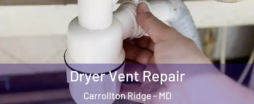 Dryer Vent Repair Carrollton Ridge - MD