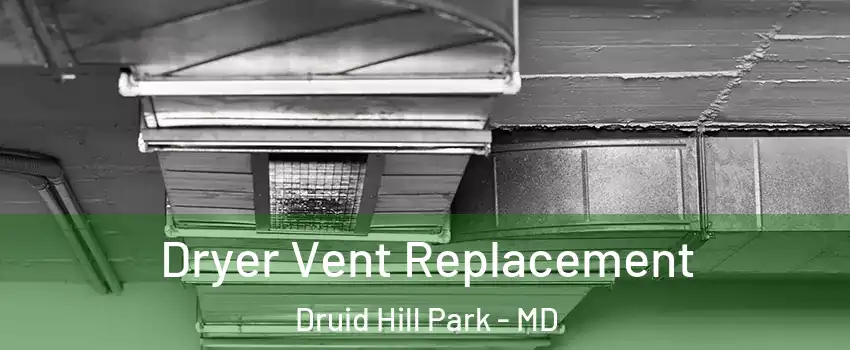 Dryer Vent Replacement Druid Hill Park - MD