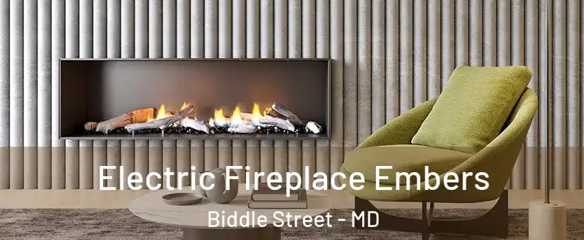 Electric Fireplace Embers Biddle Street - MD