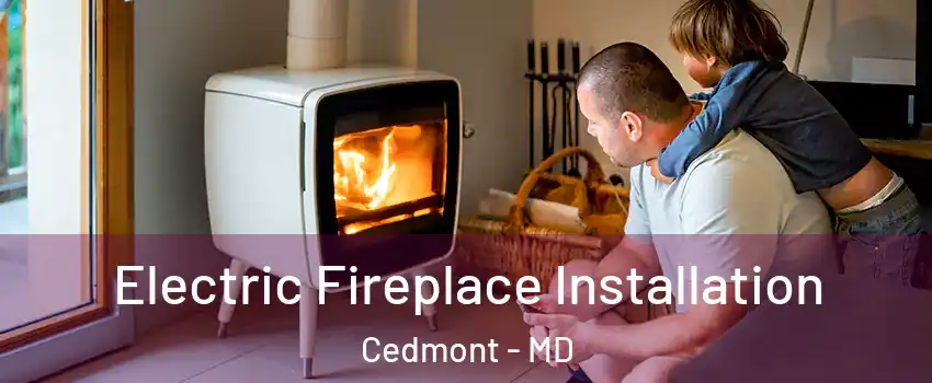 Electric Fireplace Installation Cedmont - MD