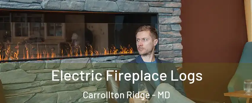 Electric Fireplace Logs Carrollton Ridge - MD