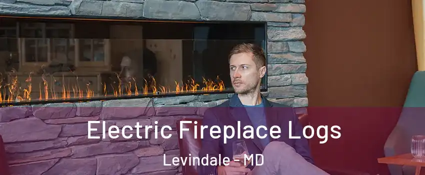 Electric Fireplace Logs Levindale - MD