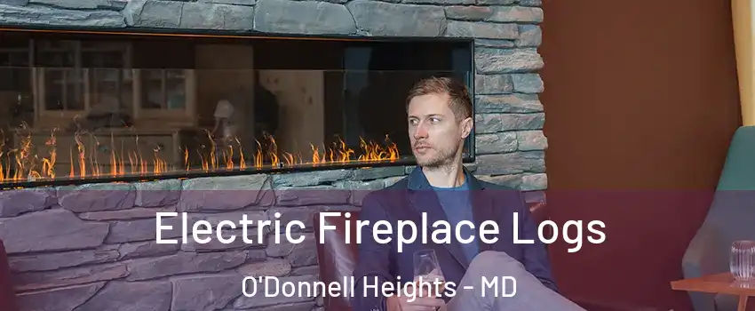 Electric Fireplace Logs O'Donnell Heights - MD