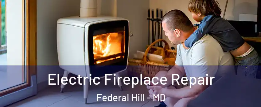 Electric Fireplace Repair Federal Hill - MD