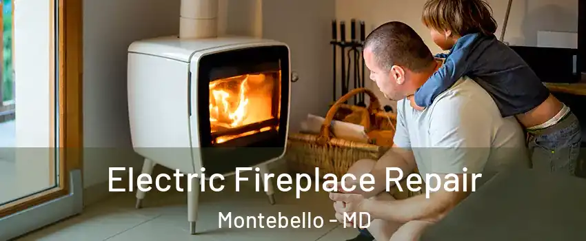 Electric Fireplace Repair Montebello - MD