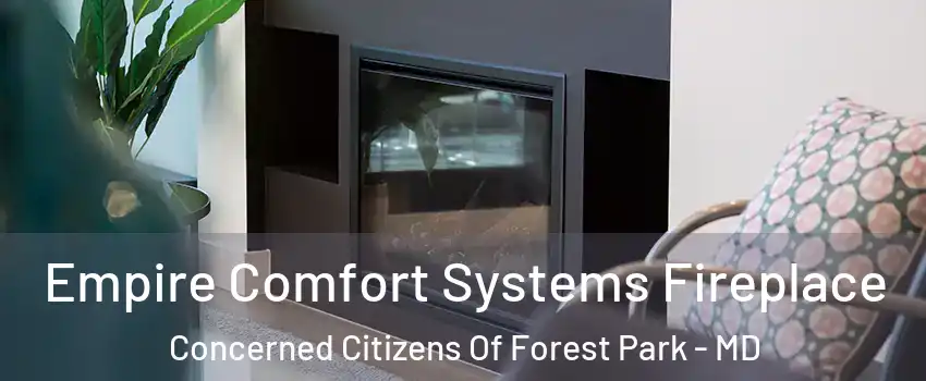 Empire Comfort Systems Fireplace Concerned Citizens Of Forest Park - MD