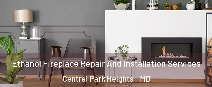 Ethanol Fireplace Repair And Installation Services Central Park Heights - MD