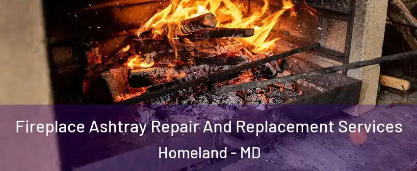 Fireplace Ashtray Repair And Replacement Services Homeland - MD