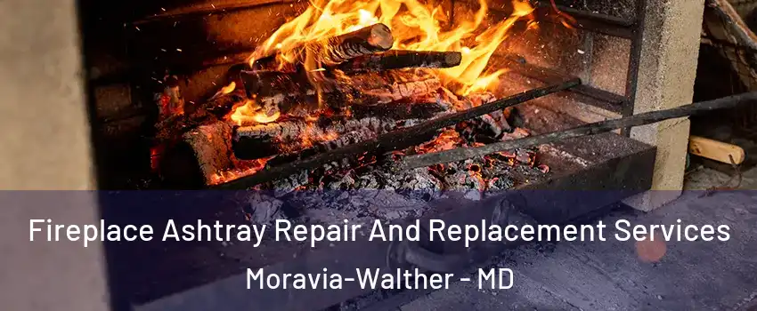 Fireplace Ashtray Repair And Replacement Services Moravia-Walther - MD