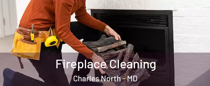 Fireplace Cleaning Charles North - MD