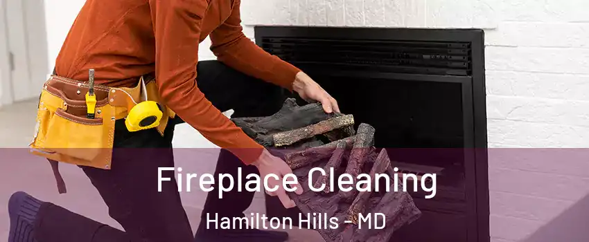 Fireplace Cleaning Hamilton Hills - MD