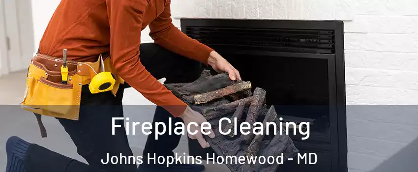 Fireplace Cleaning Johns Hopkins Homewood - MD