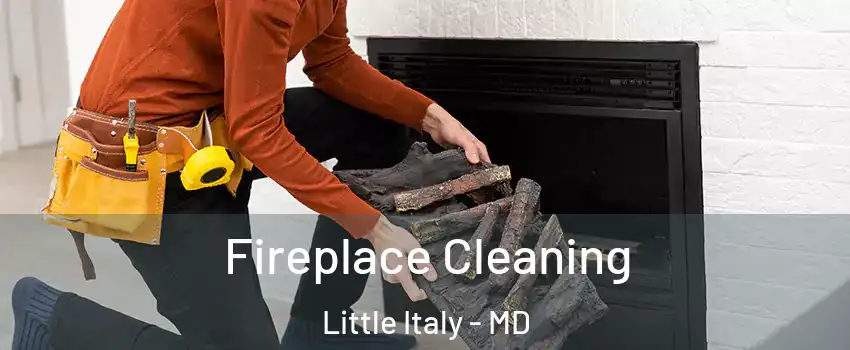 Fireplace Cleaning Little Italy - MD