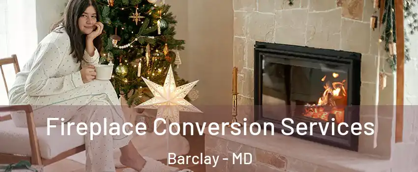 Fireplace Conversion Services Barclay - MD