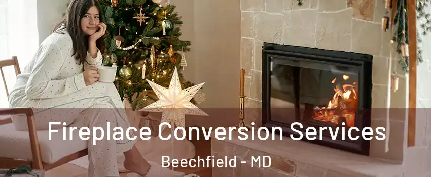 Fireplace Conversion Services Beechfield - MD