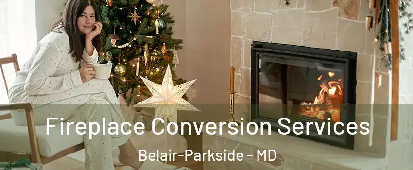 Fireplace Conversion Services Belair-Parkside - MD