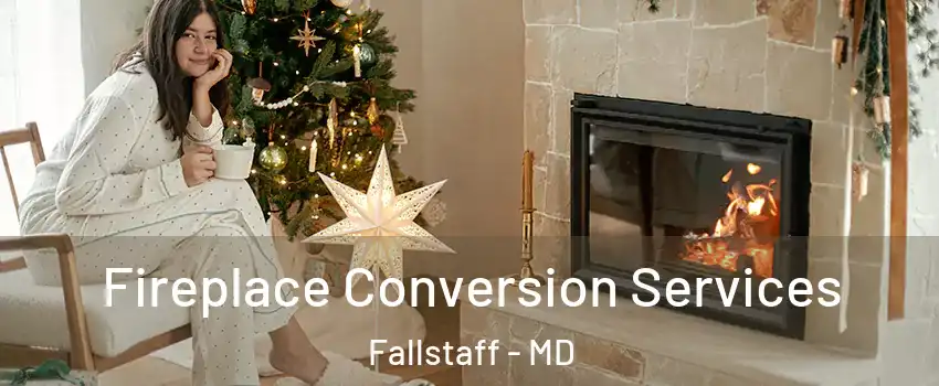 Fireplace Conversion Services Fallstaff - MD