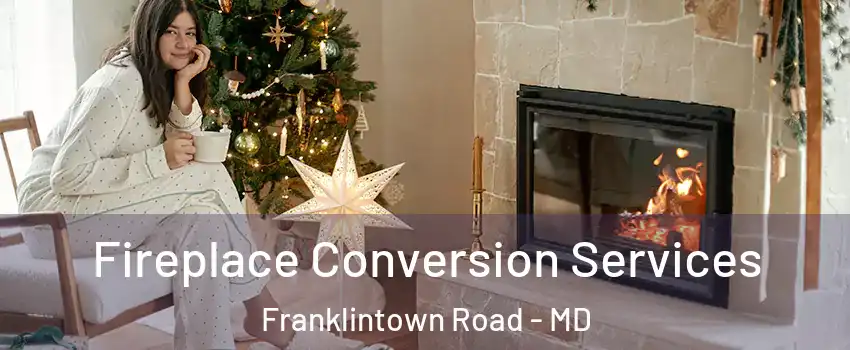 Fireplace Conversion Services Franklintown Road - MD