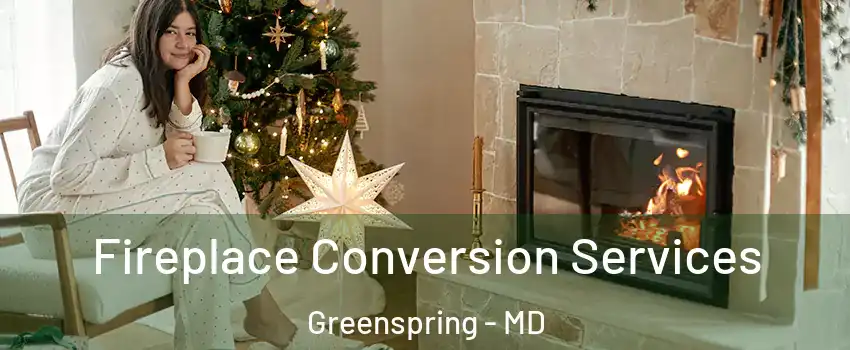 Fireplace Conversion Services Greenspring - MD