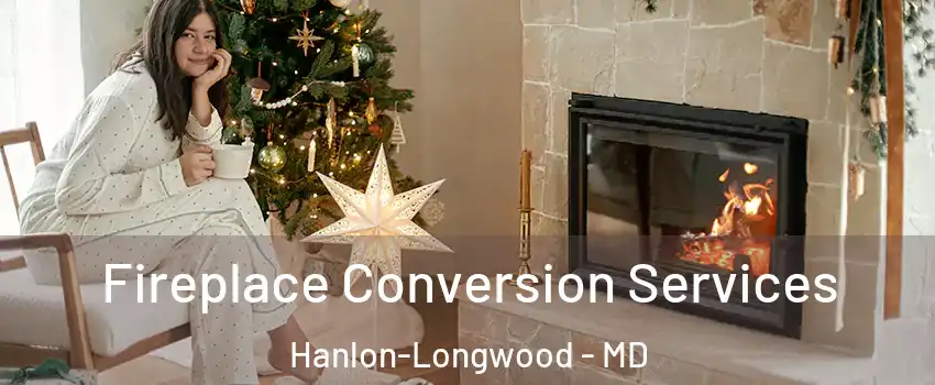 Fireplace Conversion Services Hanlon-Longwood - MD