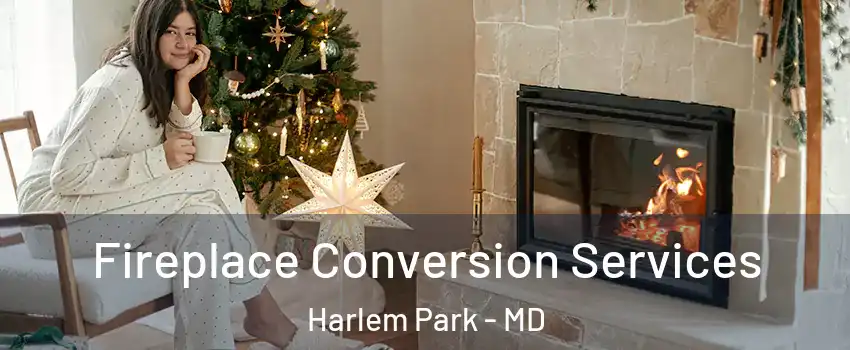 Fireplace Conversion Services Harlem Park - MD