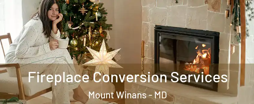 Fireplace Conversion Services Mount Winans - MD