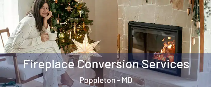 Fireplace Conversion Services Poppleton - MD