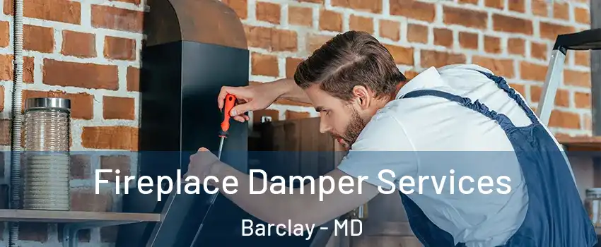 Fireplace Damper Services Barclay - MD