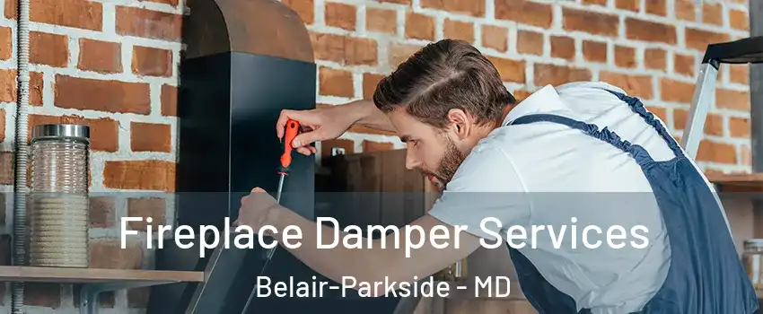 Fireplace Damper Services Belair-Parkside - MD