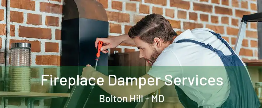 Fireplace Damper Services Bolton Hill - MD