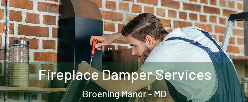 Fireplace Damper Services Broening Manor - MD