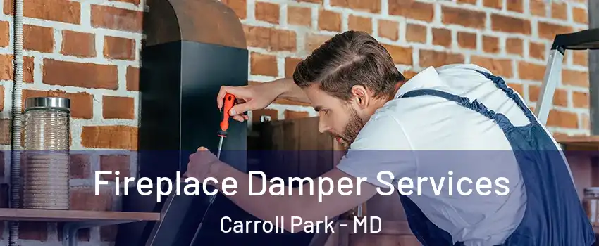 Fireplace Damper Services Carroll Park - MD