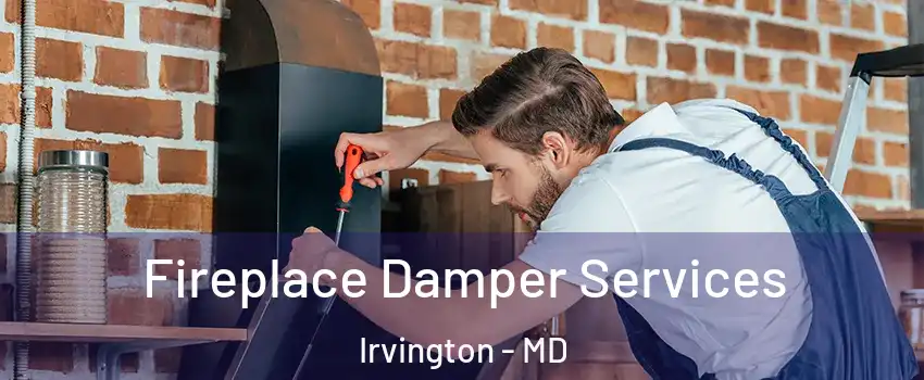 Fireplace Damper Services Irvington - MD