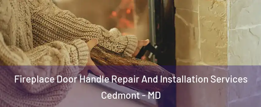 Fireplace Door Handle Repair And Installation Services Cedmont - MD