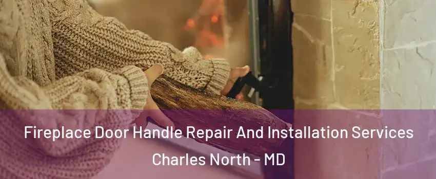 Fireplace Door Handle Repair And Installation Services Charles North - MD