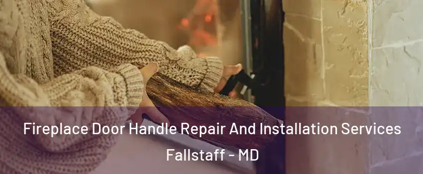 Fireplace Door Handle Repair And Installation Services Fallstaff - MD