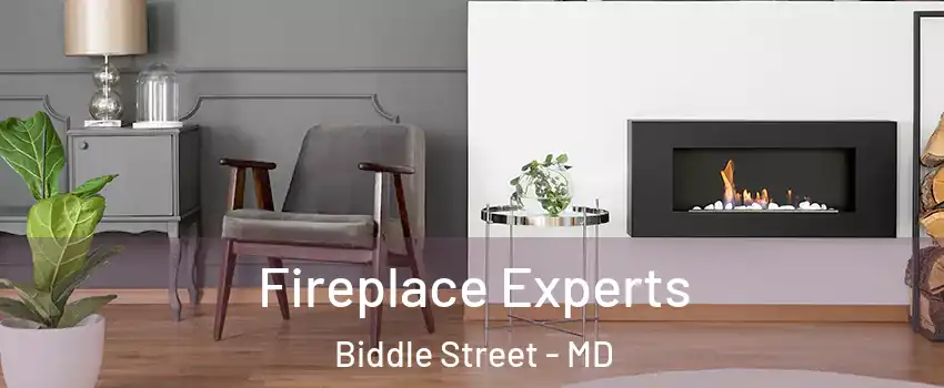 Fireplace Experts Biddle Street - MD