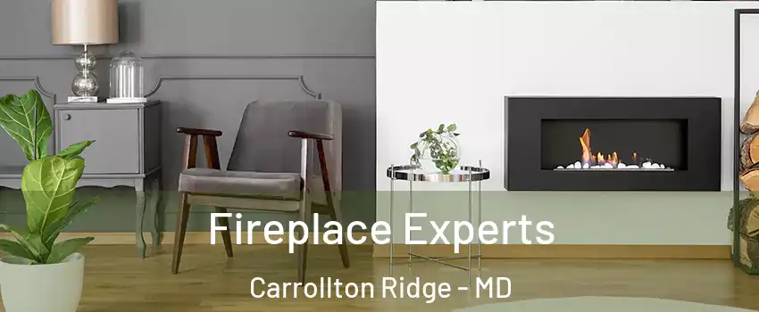 Fireplace Experts Carrollton Ridge - MD