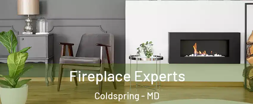 Fireplace Experts Coldspring - MD