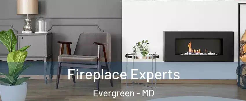 Fireplace Experts Evergreen - MD