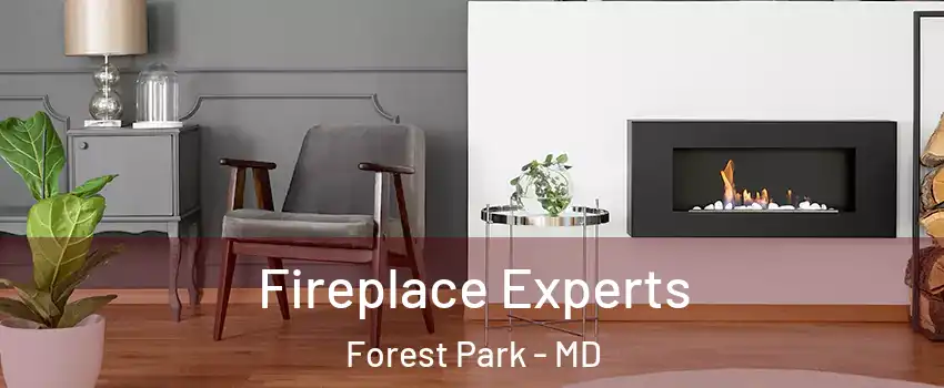 Fireplace Experts Forest Park - MD