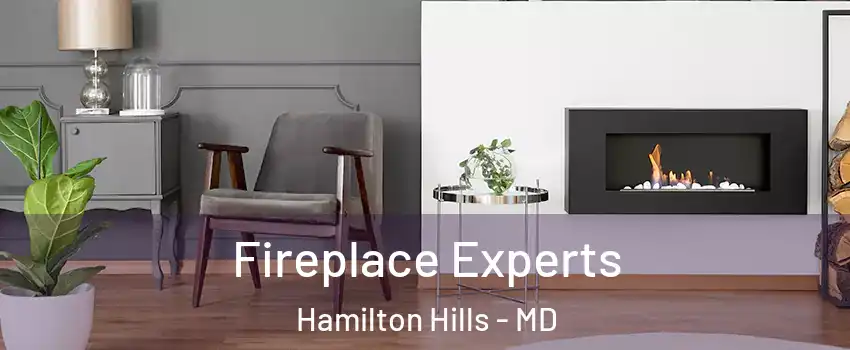 Fireplace Experts Hamilton Hills - MD