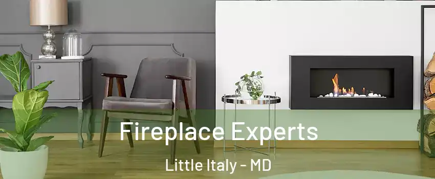 Fireplace Experts Little Italy - MD