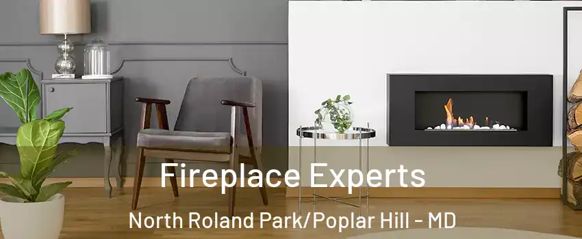 Fireplace Experts North Roland Park/Poplar Hill - MD