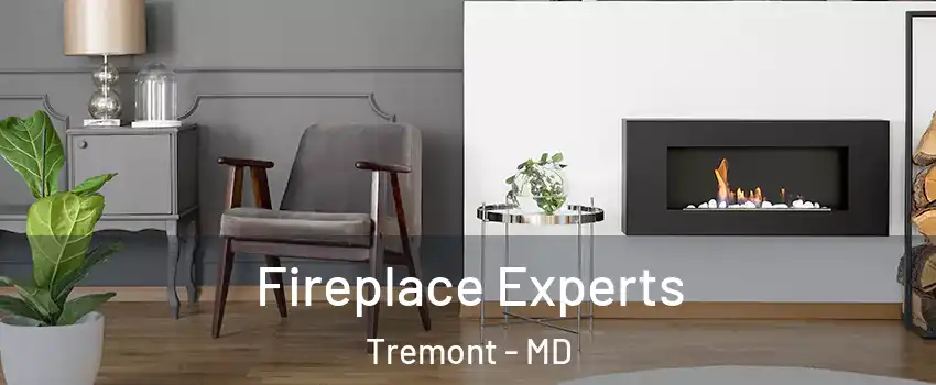 Fireplace Experts Tremont - MD