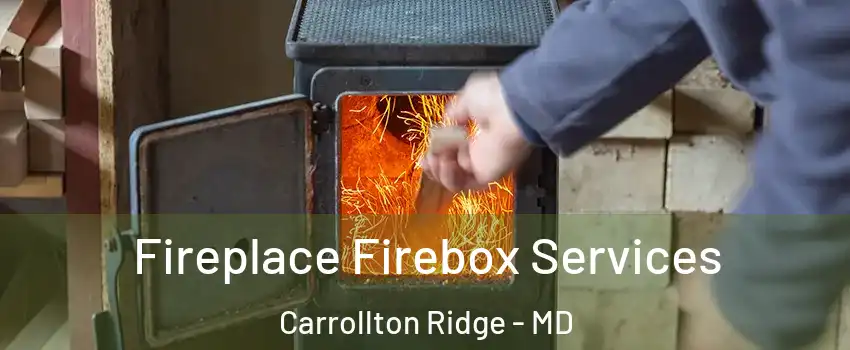 Fireplace Firebox Services Carrollton Ridge - MD