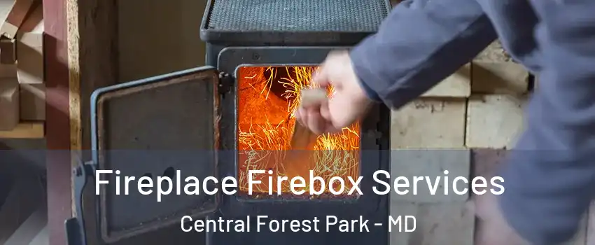 Fireplace Firebox Services Central Forest Park - MD