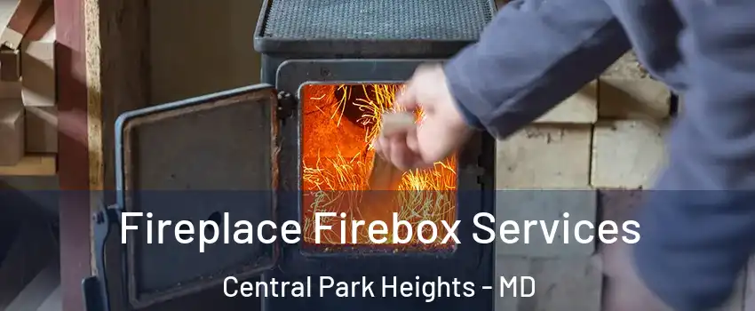 Fireplace Firebox Services Central Park Heights - MD